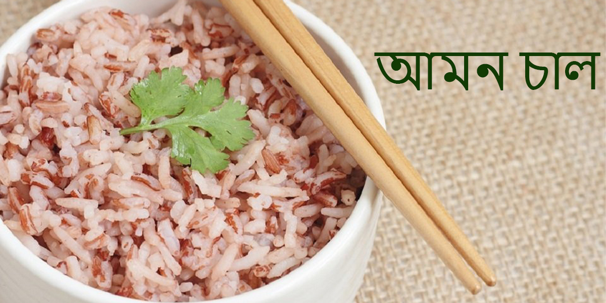 আমন-চাল