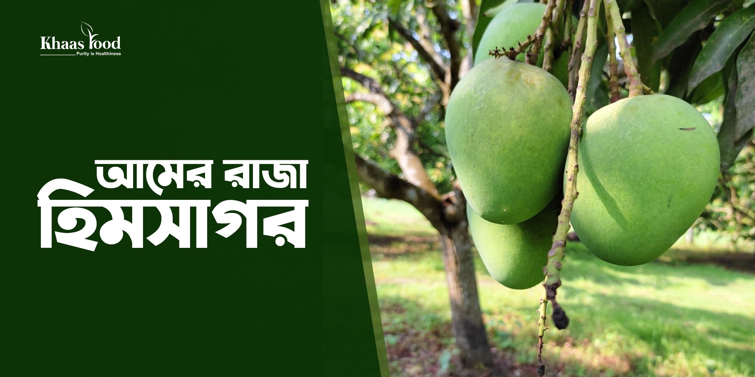 হিমসাগর